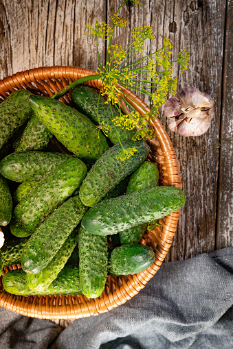 Fresh cucumbers from your home garden in a wicker basket.