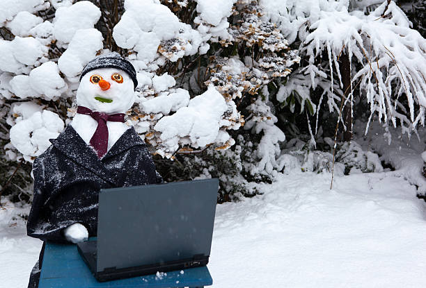 Snowman Working On Laptop stock photo