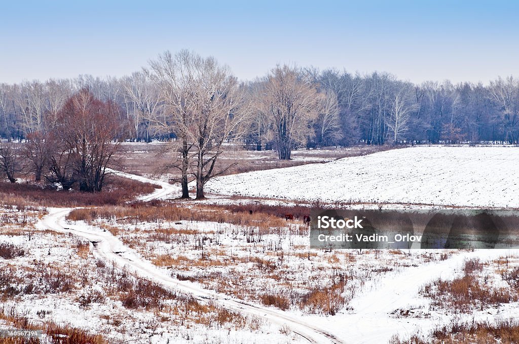 田園風景。最初の雪 - ロシアのロイヤリティフリーストックフォト