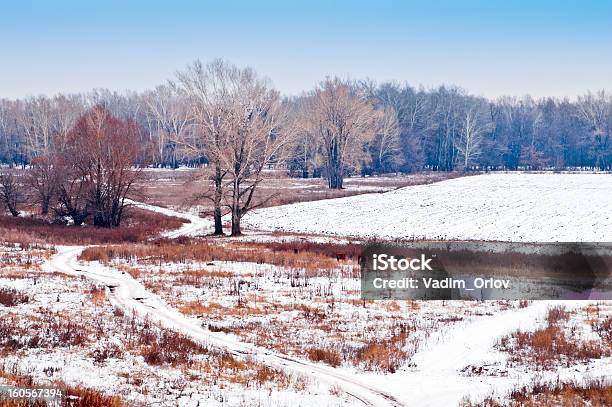 Paisagem Rural Primeira Neve - Fotografias de stock e mais imagens de Ao Ar Livre - Ao Ar Livre, Arbusto, Campo agrícola