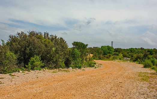 The spring landscape near Praznica on Brac Island in Croatia in May