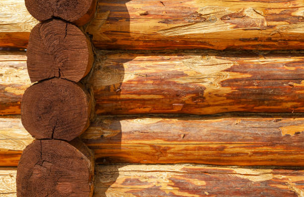 A log wall construction with a swedish cope log profile. A heavily cracked wall of a blockhouse as a background