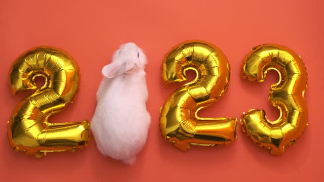 flat lay inflatable golden balloons in the form of numbers 2023 on a orange background. Year of the rabbit. White rabbit instead of zero. Happy New Year. greeting card