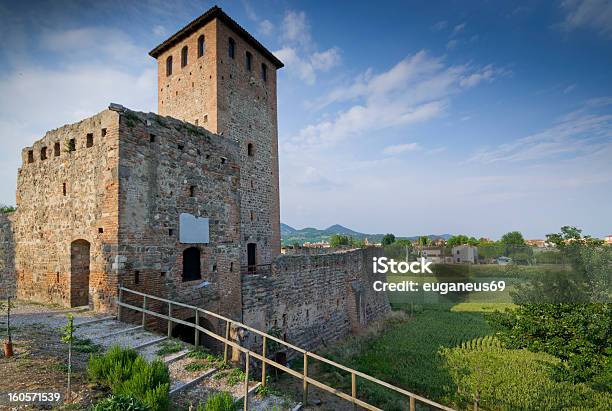 Stary Opuszczony Tower - zdjęcia stockowe i więcej obrazów Padwa - Padwa, Wzgórze, Bajka