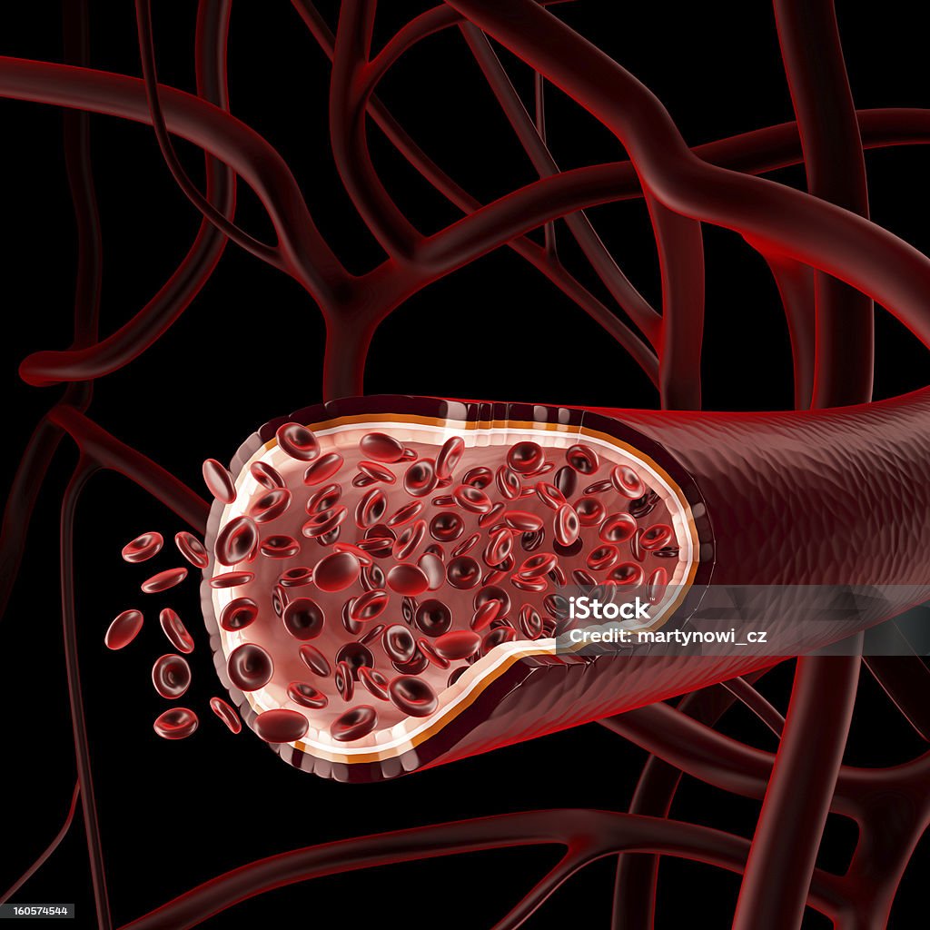 The inside of a vein with blood platelets Red blood cells in a vein on a background, 3D render. Anatomy Stock Photo