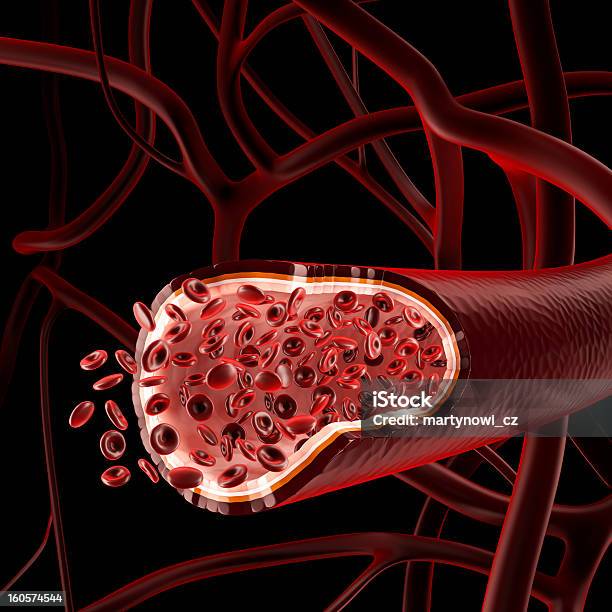 The Inside Of A Vein With Blood Platelets Stock Photo - Download Image Now - Anatomy, Animal Blood, Artery