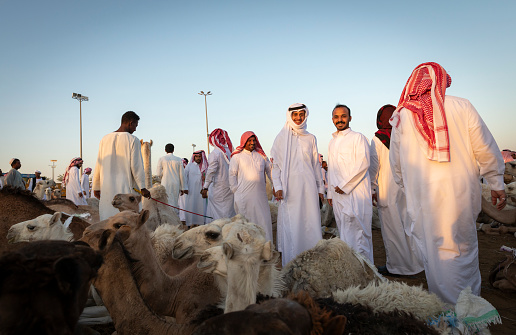 Buraydah, Saudi Arabia, 4th August 2023: camel market in the city of Buraydah