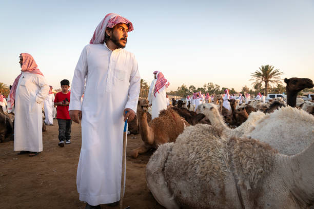 Child in traditional blue clothing and turban sitting on a camel with a saddle in a desert environment in Morocco