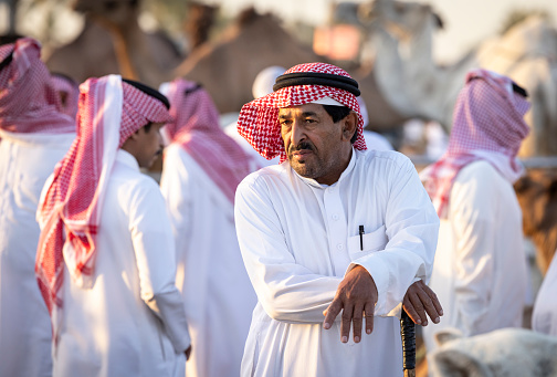 Buraydah, Saudi Arabia, 4th August 2023: soudi camels and men at a camel market