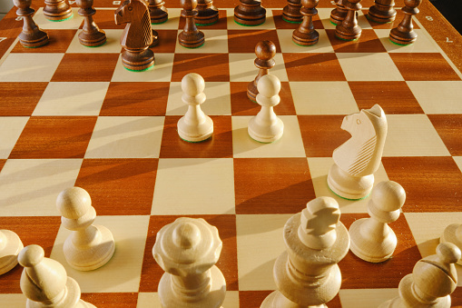 White king chess piece on chess board.
