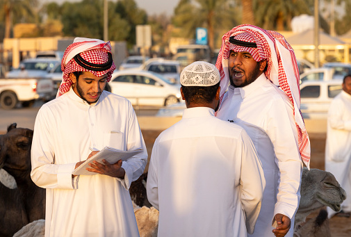 Buraydah, Saudi Arabia, 4th August 2023: soudi camels and men at a camel market