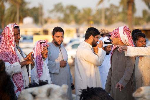 Buraydah, Saudi Arabia, 4th August 2023: soudi men at a camel market