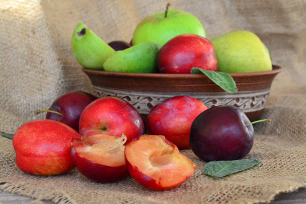 istock there are fruits in a plate on burlap 1605754676
