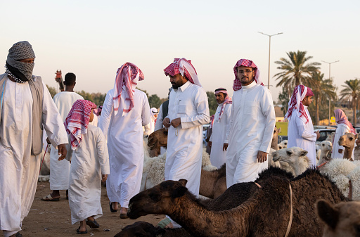 Buraydah, Saudi Arabia, 4th August 2023: soudi men at a camel market