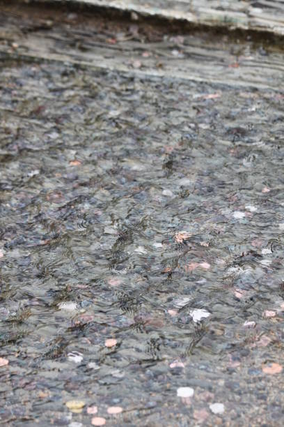 istock Coins in Fountain Water 1605790081