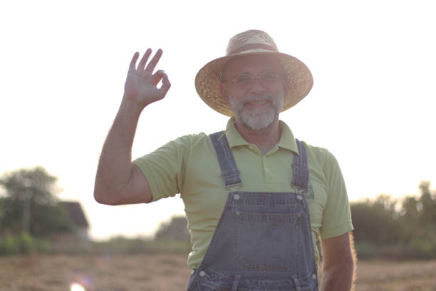 istock Farmer on field of sunflowers 1605792354