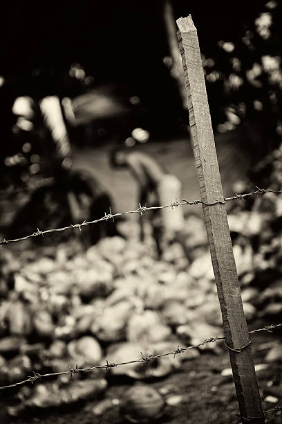 노예. 신혼여행 중인 혼혈의 젊은 군인커플 흑백 착색 - barbed wire rural scene wooden post fence 뉴스 사진 이미지