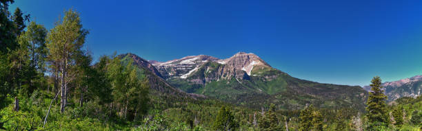 istock Timpanogos back Pine Hollow hiking views from trail Uinta Wasatch Cache National Forest, Rocky Mountains, Utah. United States. 1605805387