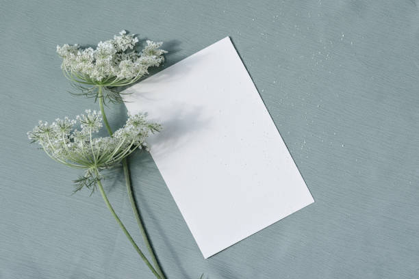 istock Aesthetic boho background, blank paper card mockup with copy space, minimal neutral business, brand template 1605806445