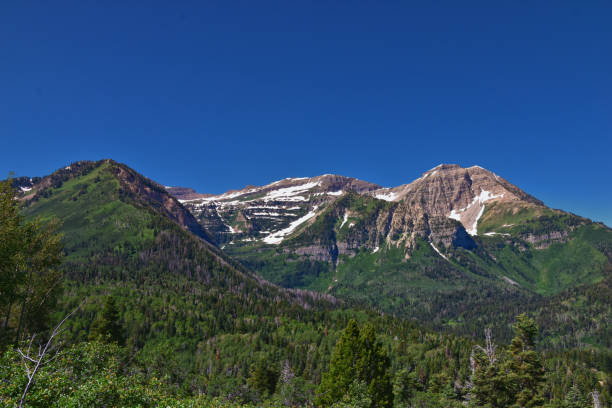 istock Timpanogos back Pine Hollow hiking views from trail Uinta Wasatch Cache National Forest, Rocky Mountains, Utah. United States. 1605809327