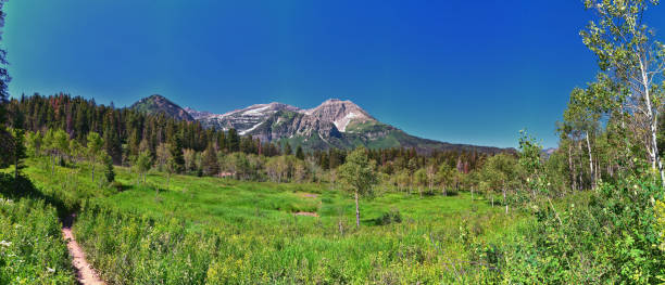 istock Timpanogos back Pine Hollow hiking views from trail Uinta Wasatch Cache National Forest, Rocky Mountains, Utah. United States. 1605814306