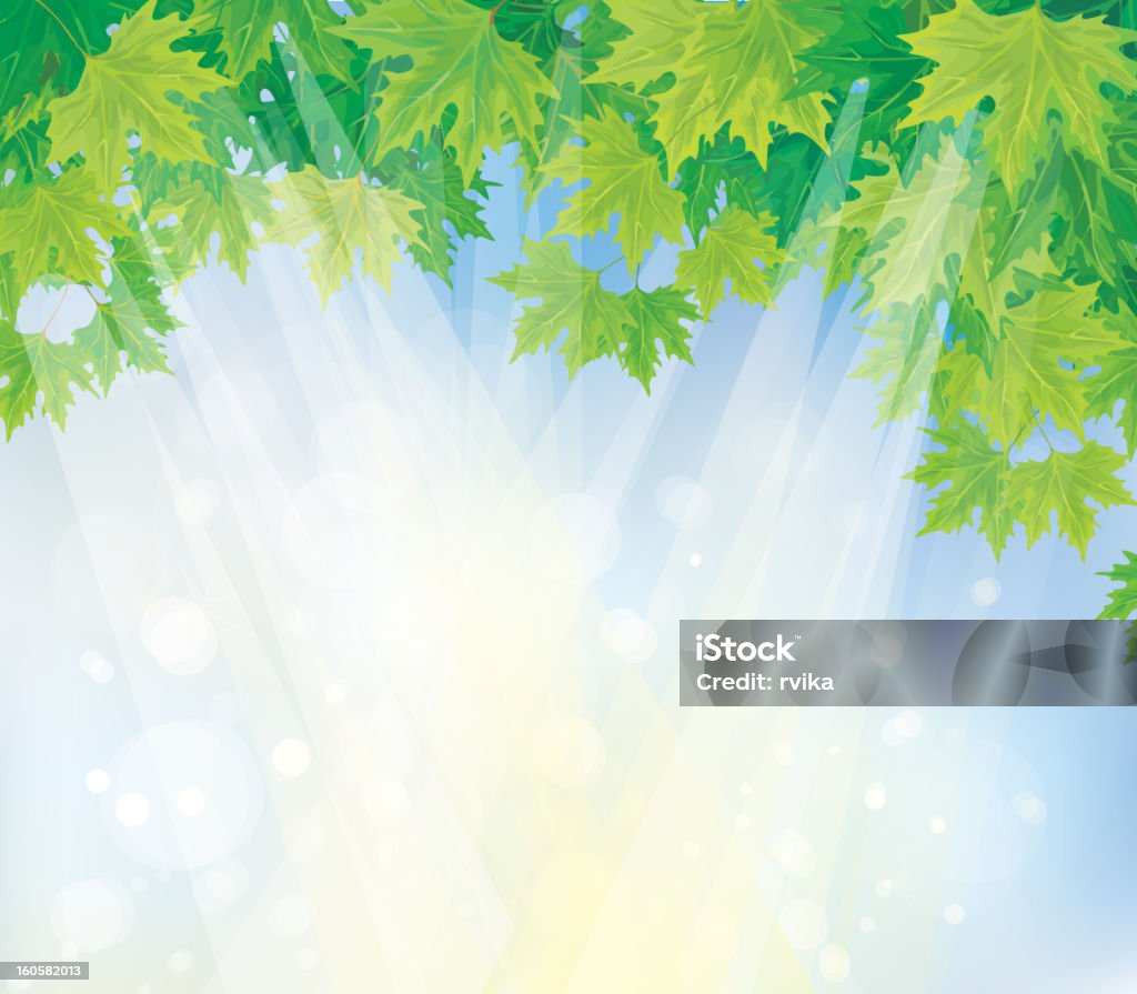 Vettore di foglie verdi su sfondo blu cielo. - arte vettoriale royalty-free di Acero