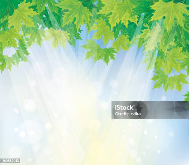 Vettore Di Foglie Verdi Su Sfondo Blu Cielo - Immagini vettoriali stock e altre immagini di Acero - Acero, Albero, Blu