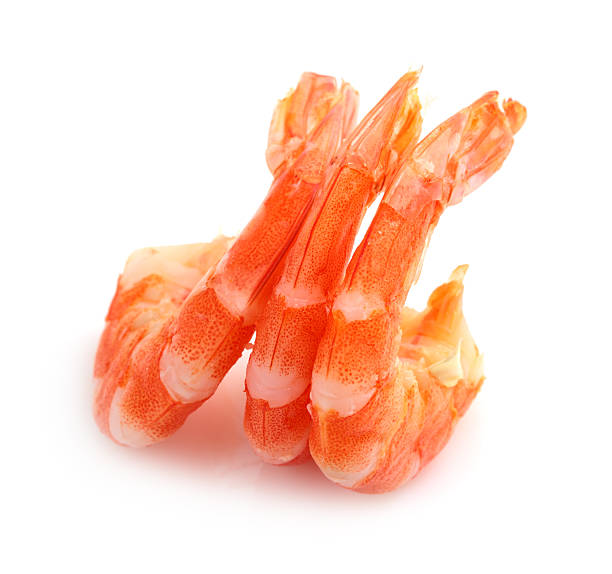 shrimp Image boiled shrimp on white background. black tiger shrimp stock pictures, royalty-free photos & images