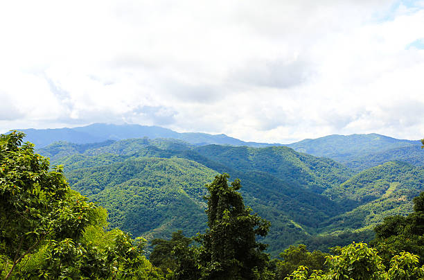 istock Morning Mist at Tropical Mountain Range, Chiangrai,Thailand 160582679