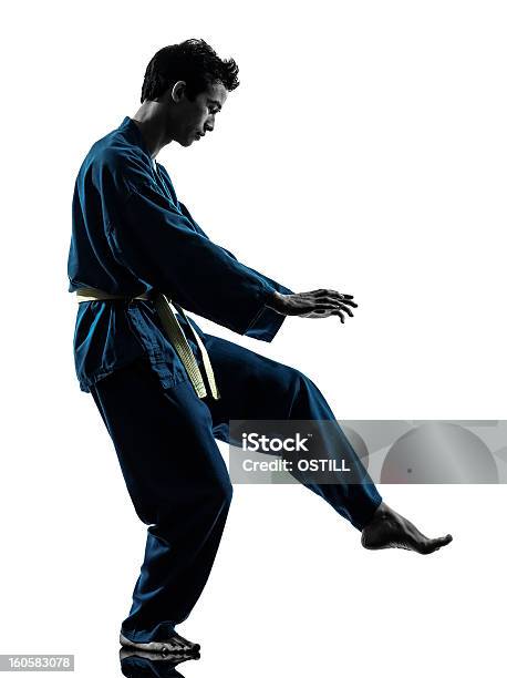 Uomo Di Arti Marziali Karate Vietvodao Silhouette - Fotografie stock e altre immagini di Kung Fu - Kung Fu, Adulto, Ambientazione interna