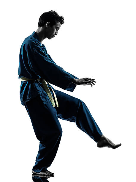 istock karate vietvodao martial arts man silhouette 160583078
