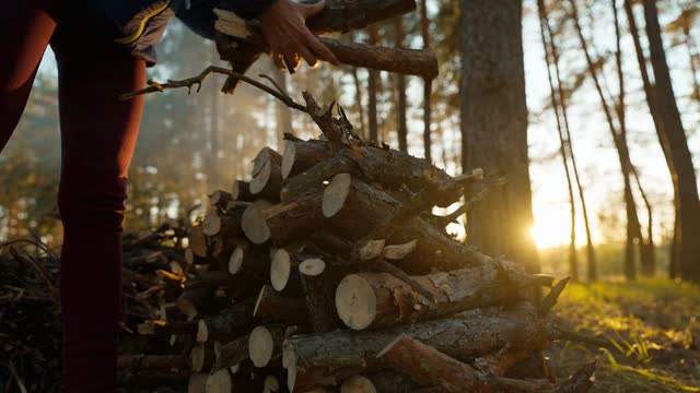 closeup cinematic shot of stacked stack of firewood for Fireplace in Nature - wide angle Shot, Slow Motion. picnic and camping in pine woods outdoors at autumn evening. sunset and sun flare in frame.