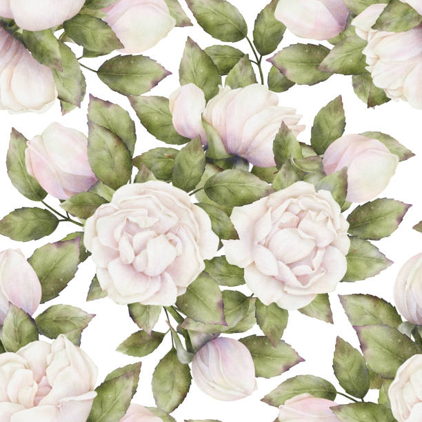 istock Seamless delicate pattern of watercolor white-pink roses with green leaves on a white background. Botanical repeatable floral background for home decor, fabrics, textiles, wallpapers, wrapping paper 1605834717