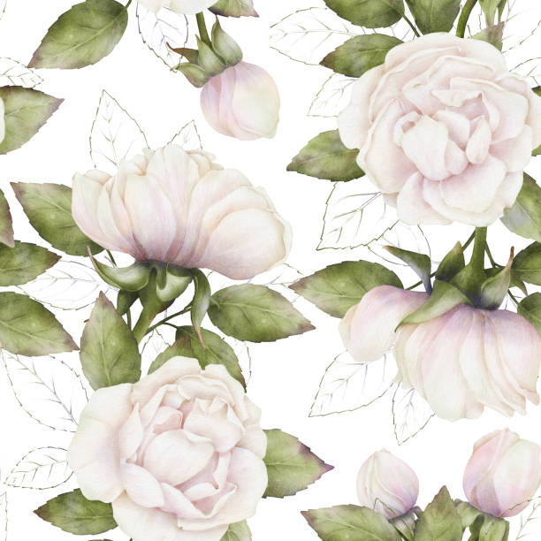 istock Seamless delicate pattern of watercolor white-pink roses with green leaves on a white background. Botanical repeatable floral background for home decor, fabrics, textiles, wallpapers, wrapping paper 1605834749