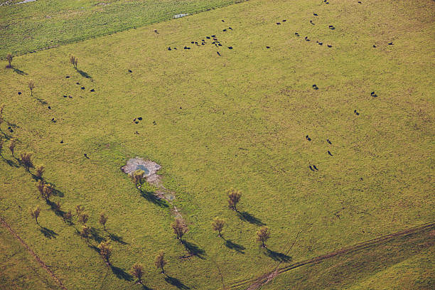 De tierras de foto de cabeza - foto de stock