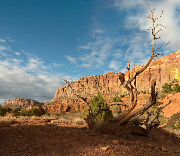 istock Sandstone Ridgeline at Capital Reef National Park 1605841156