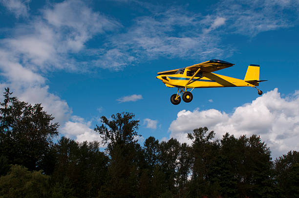 Bush Plane Landing A great front page cover of a bush plane coming in for a landing. bush plane stock pictures, royalty-free photos & images