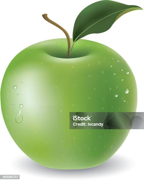 Grüner Apfel Stock Vektor Art und mehr Bilder von Abnehmen - Abnehmen, Apfel, Bildkomposition und Technik