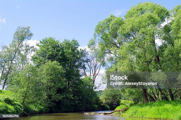 여름 풍경 강 0명에 대한 스톡 사진 및 기타 이미지 - 0명, 강, 경관