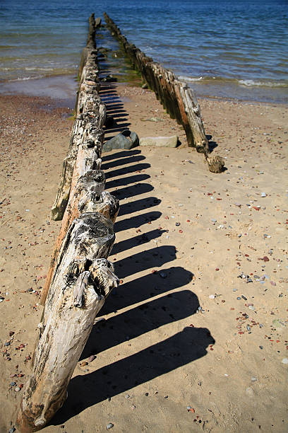 Le bois breakwater - Photo