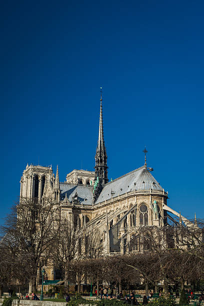 Cтоковое фото Великолепный Notre-Dame