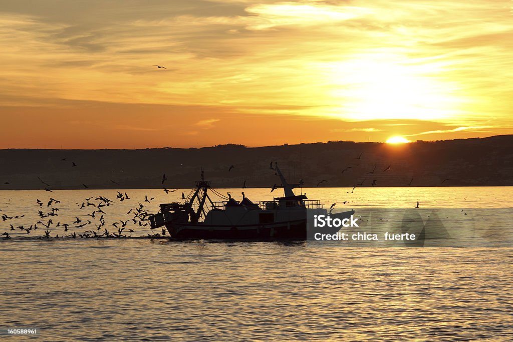 Barco de pesca de volta para casa - Foto de stock de Estepona royalty-free