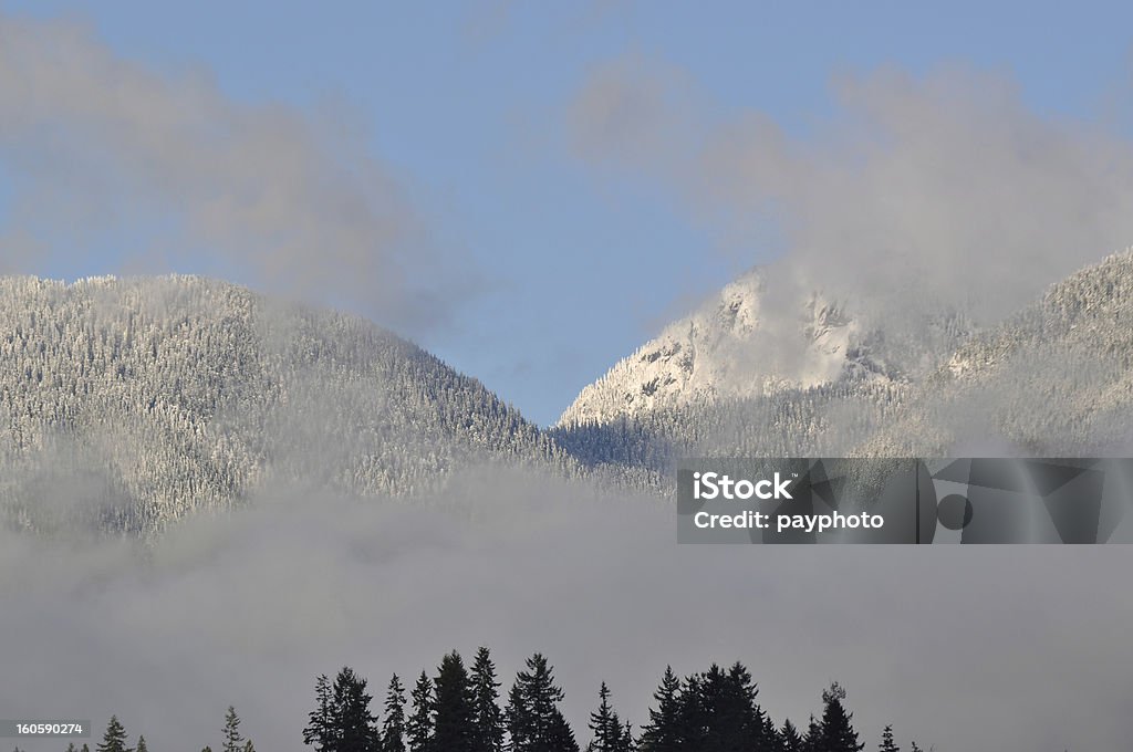 Slim couverture de neige montagne - Photo de Admirer le paysage libre de droits