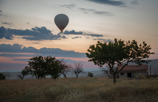 A hot air balloon flying over Cappadocia at sunrise and trees underneath