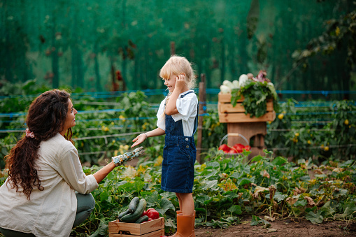 Little blonde girl smiling and talking to her mother while harvesting vegetables in the greenhouse