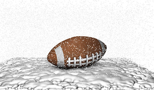 Rugby Ball Under The Snow