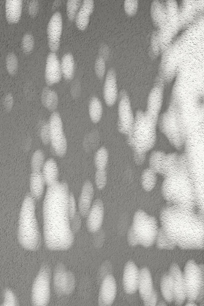 istock Aesthetic abstract duppled leaf sunlight shadow on neutral beige concrete wall texture. Empty wall background, minimalist sustainable interior design mock up, business brand template 1605921848