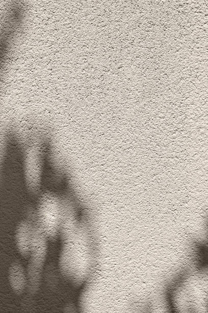 istock Abstract floral sunlight shadow on neutral beige concrete wall texture. Aesthetic natural sustainable background, business brand design template 1605922907