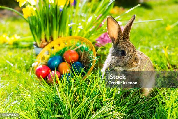 Easter Bunny On Meadow With Basket And Eggs Stock Photo - Download Image Now - Easter Bunny, Easter Egg, Rabbit - Animal