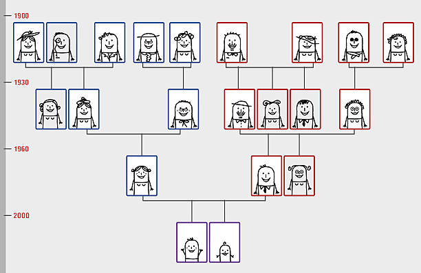 Family Tree Stock Illustration - Download Image Now - Family Tree, Family,  Cartoon - iStock